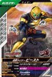 画像1: N 仮面ライダービースト (1)